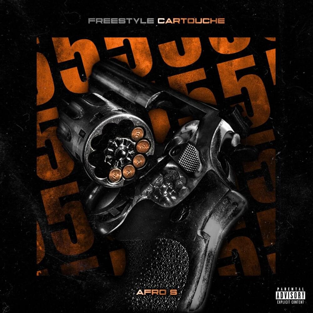 Album cover art for "T.L.S (Cartouche 5)" by Afro S