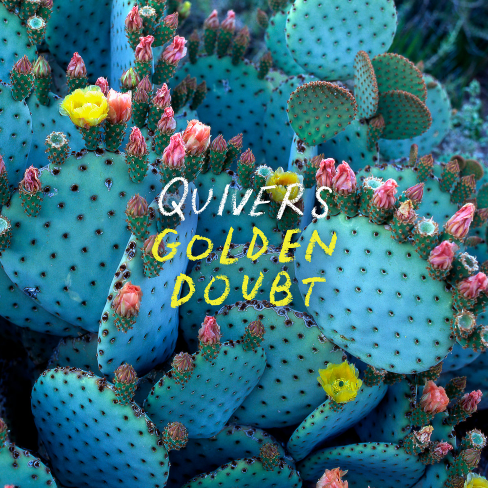 Chinese Medicine by Quivers