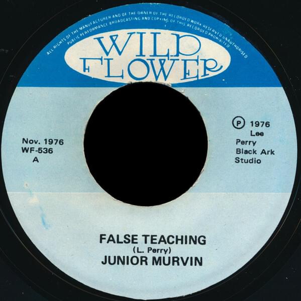 False Teachings by Junior Murvin