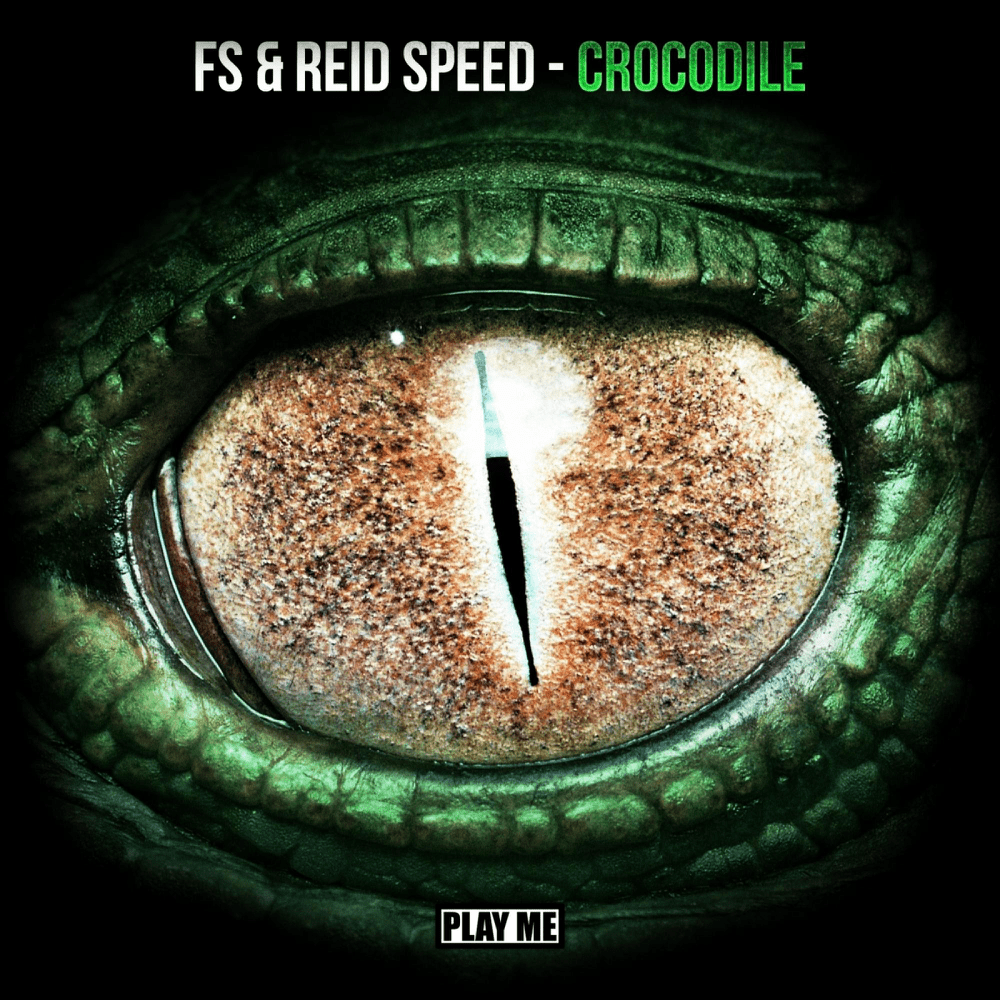 Album cover art for "Crocodile" by FS & Reid Speed