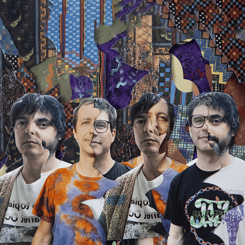 Cover image for Animal Collective