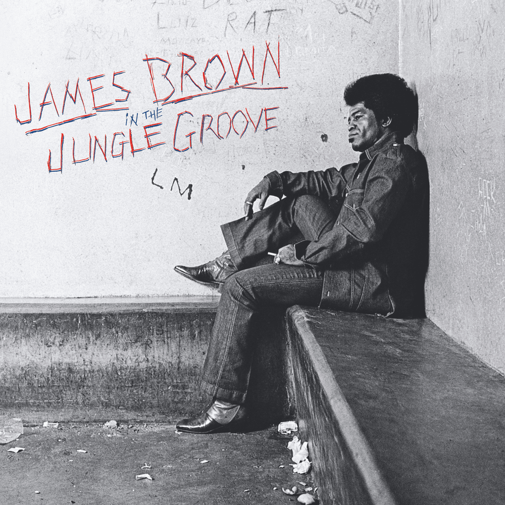 Cover image for In the Jungle Groove