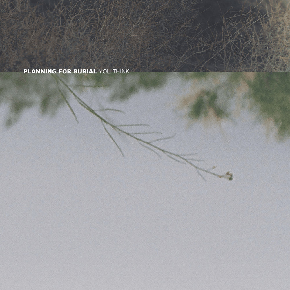 Album cover art for "You Think" by Planning For Burial