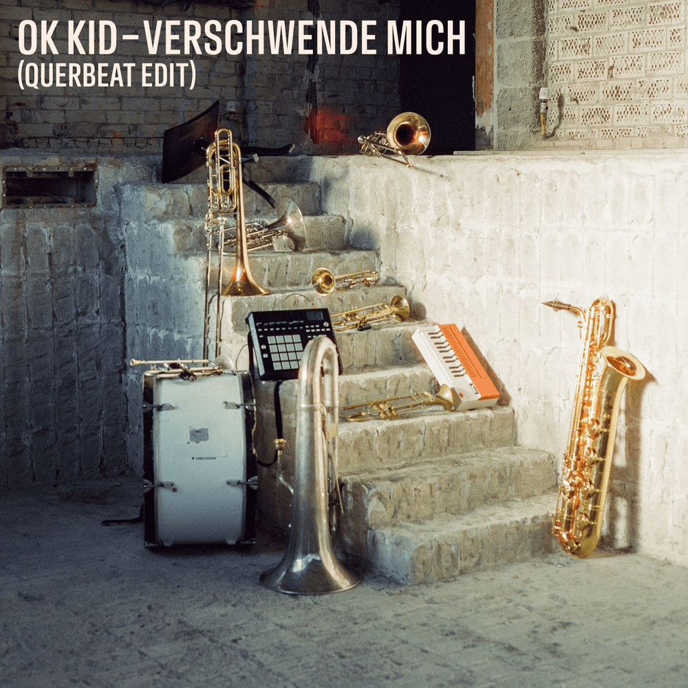 Album cover art for "Verschwende mich (Querbeat Edit)" by OK KID