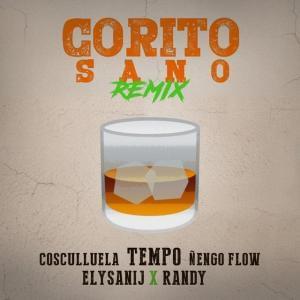 Corito Sano (Remix) by Tempo