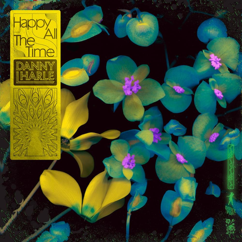 Album cover art for "Happy All The Time" by Danny L Harle