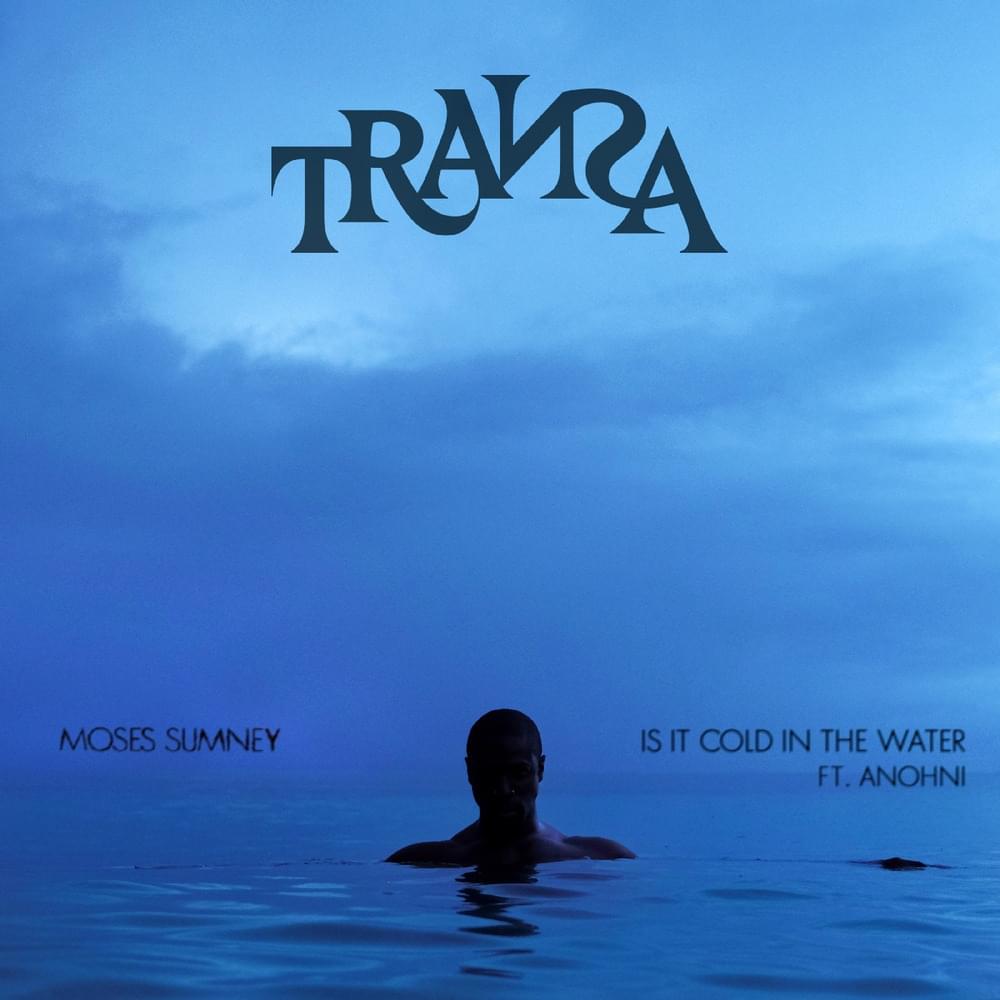 Album cover art for "Is It Cold In The Water?" by Moses Sumney & ANOHNI