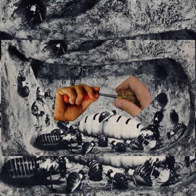 Cover image for A Dimensão e O Feixe