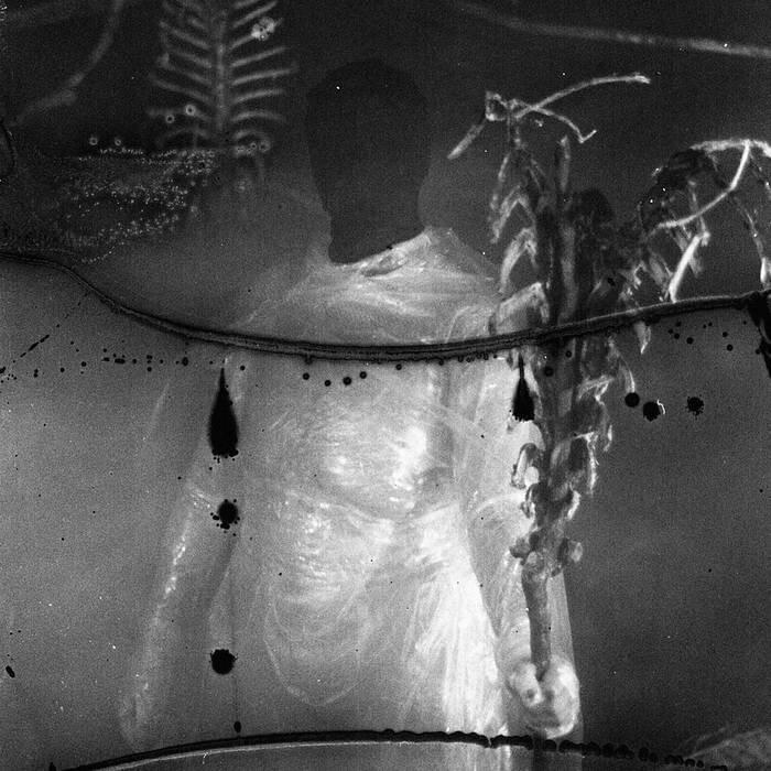 Cover image for Preservation Rituals (2015 - 2018)