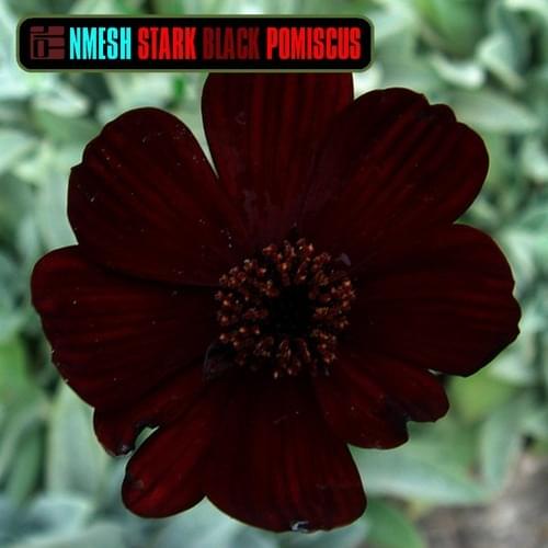 Album cover art for "Stark Black Pomiscus" by Nmesh