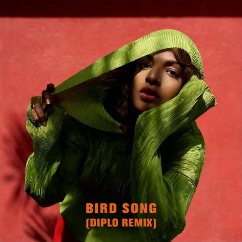Album cover art for "Bird Song (Diplo Remix)" by M.I.A.