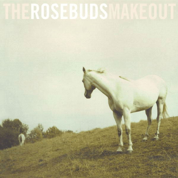 Album cover art for "What Can I Do?" by The Rosebuds