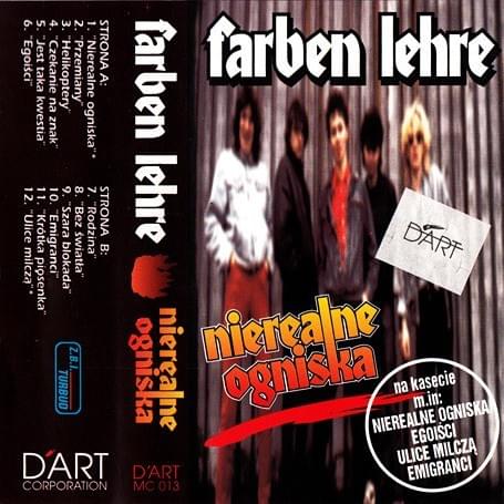 Cover image for Nierealne ogniska