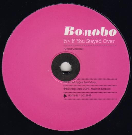 Album cover art for "If You Stayed Over" by Bonobo & Fink