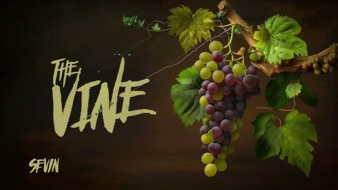 Album cover art for "The Vine" by Sevin