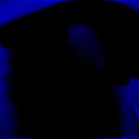 Cover image for Sombre Avenir