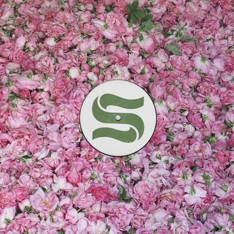 Cover image for Step by Step Remixes