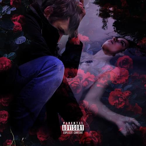 Album cover art for "Du willst mit mir gehen" by Crystal F