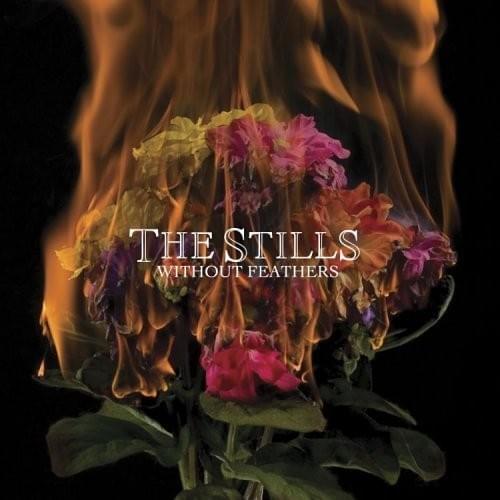 Baby Blues by The Stills (CAN)