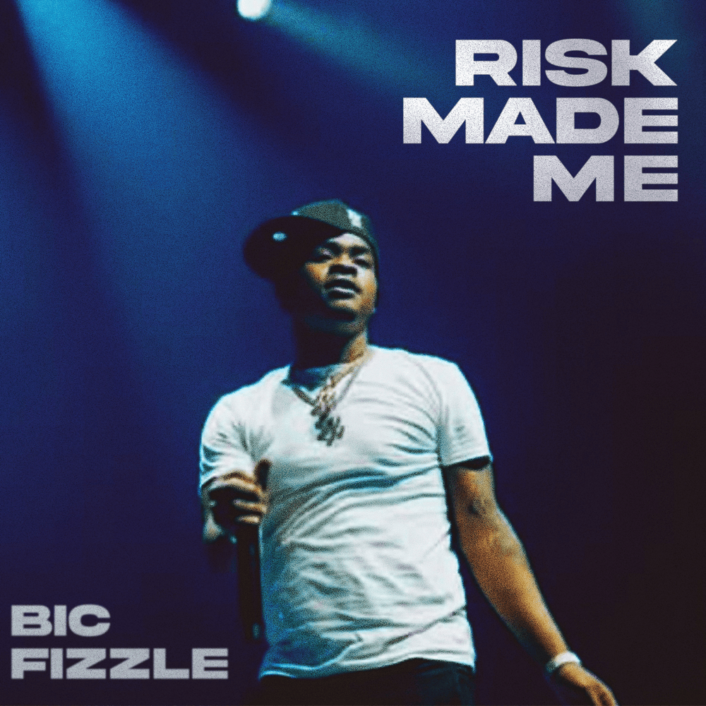 Cover image for Risk Made Me
