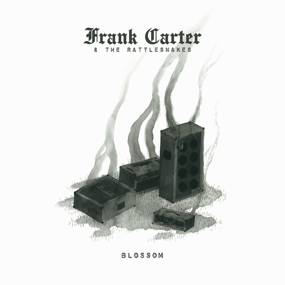 Cover image for Blossom (Deluxe)