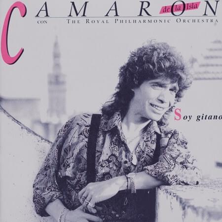 Cover image for Soy Gitano
