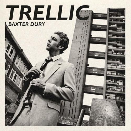 Album cover art for "Trellic" by Baxter Dury