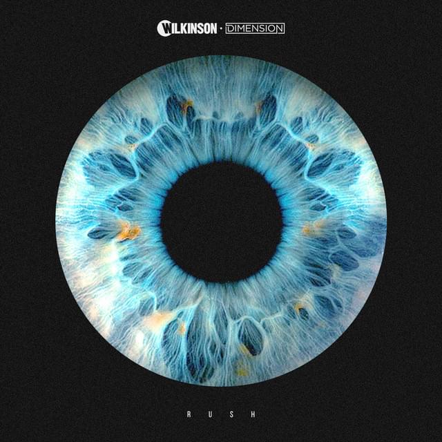 Album cover art for "Rush" by Wilkinson