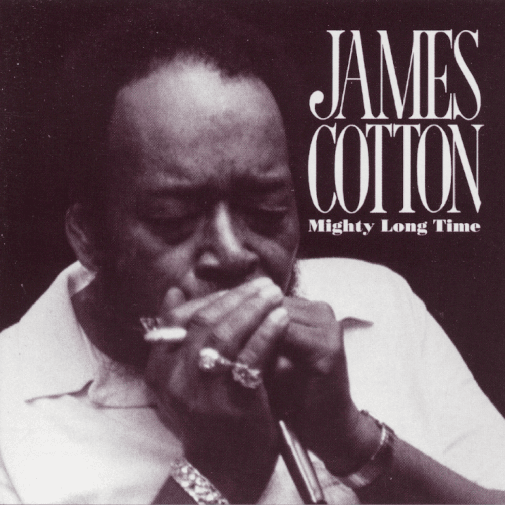 Blow Wind Blow by James Cotton