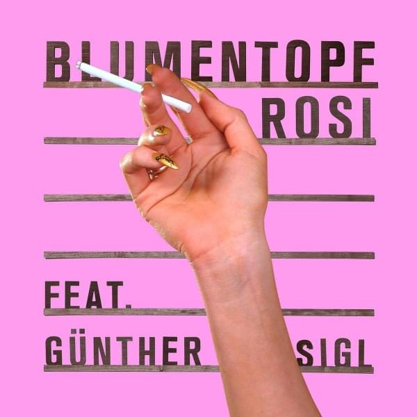 Album cover art for "Rosi" by Blumentopf
