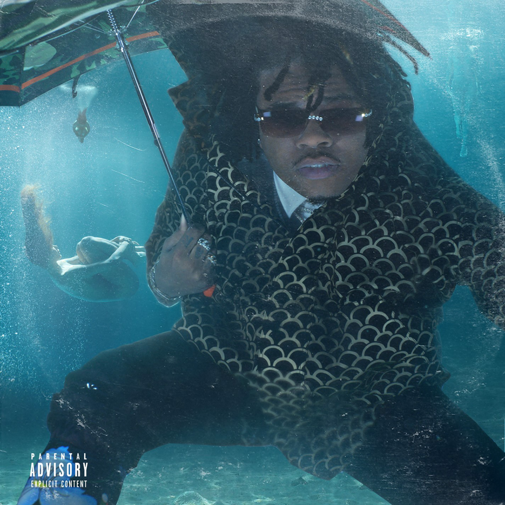 Album cover art for "Baby Birkin" by Gunna