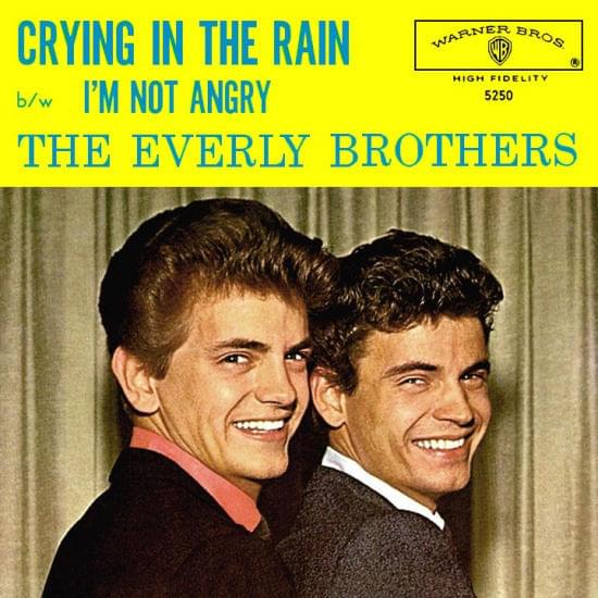 Crying in the Rain by ​The Everly Brothers