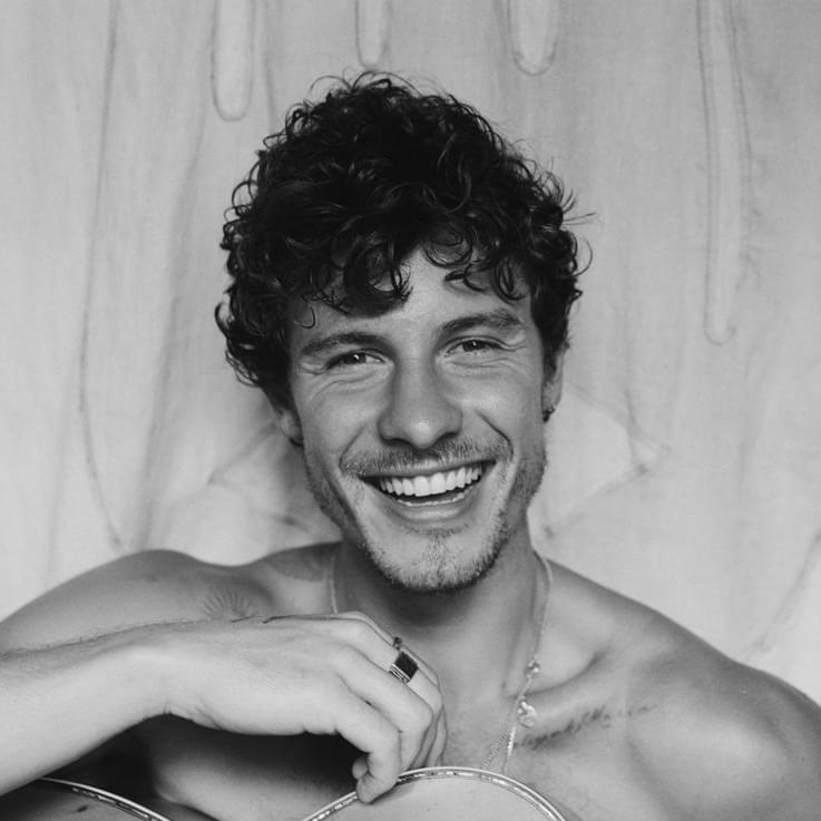 Cover image for Shawn Mendes