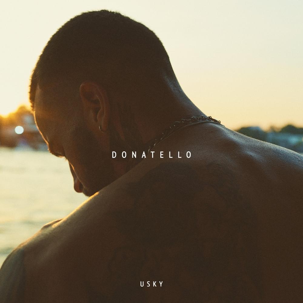 Album cover art for "Donatello" by USKY