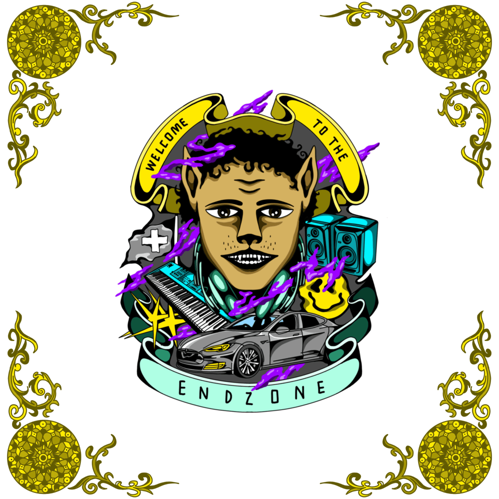 Cover image for Welcome to the Endzone