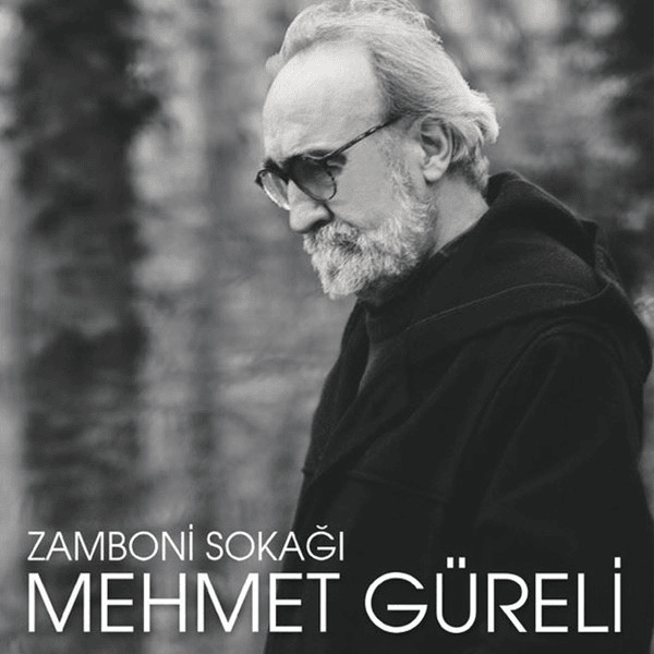 Cover image for Zamboni Sokağı