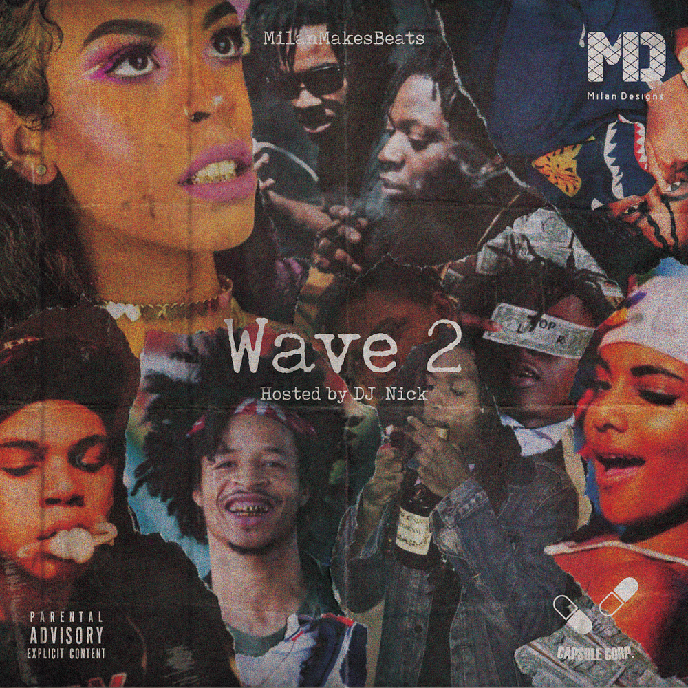 Cover image for Wave 2