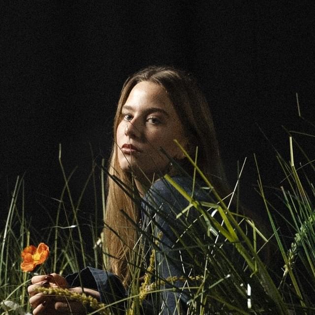 Cover image for Mille