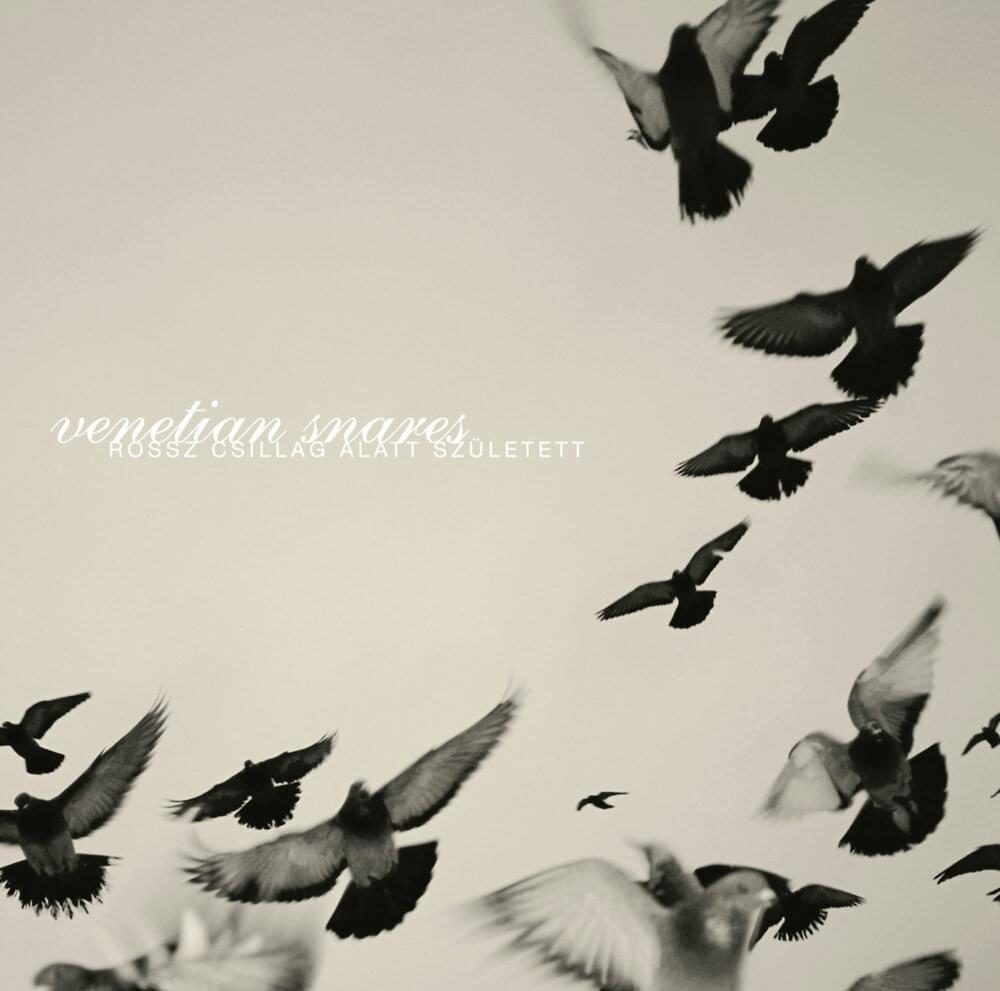 Album cover art for "Kétsarkú Mozgalom" by Venetian Snares