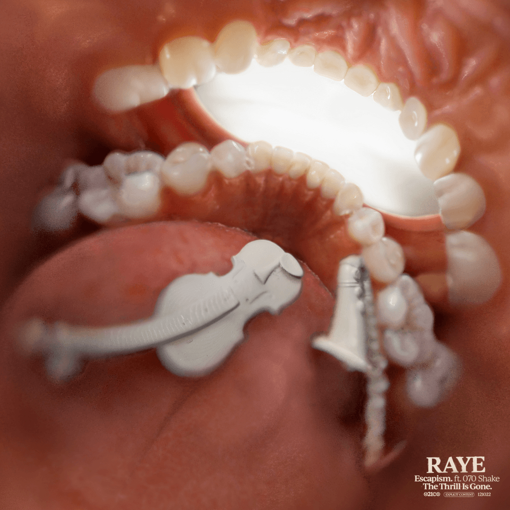 Album cover art for "The Thrill Is Gone." by RAYE