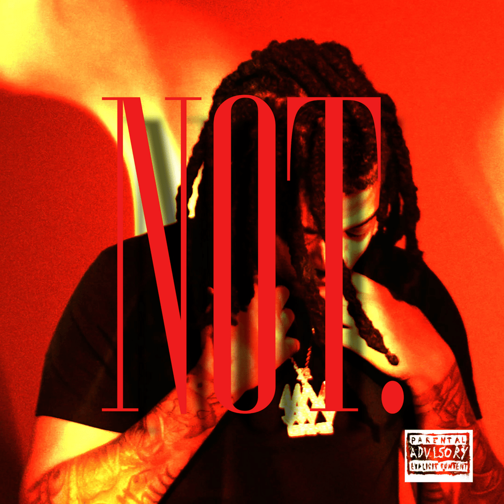 Album cover art for "NoT" by Zelly Ocho