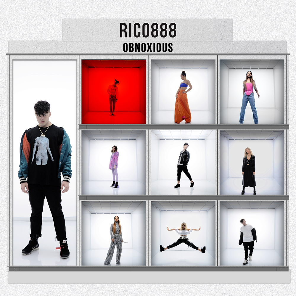 Album cover art for "Obnoxious" by Rico888
