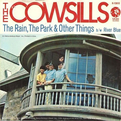 The Rain, the Park & Other Things by The Cowsills