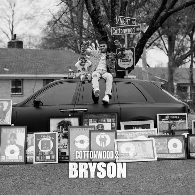 Cover image for Cottonwood 2: Bryson