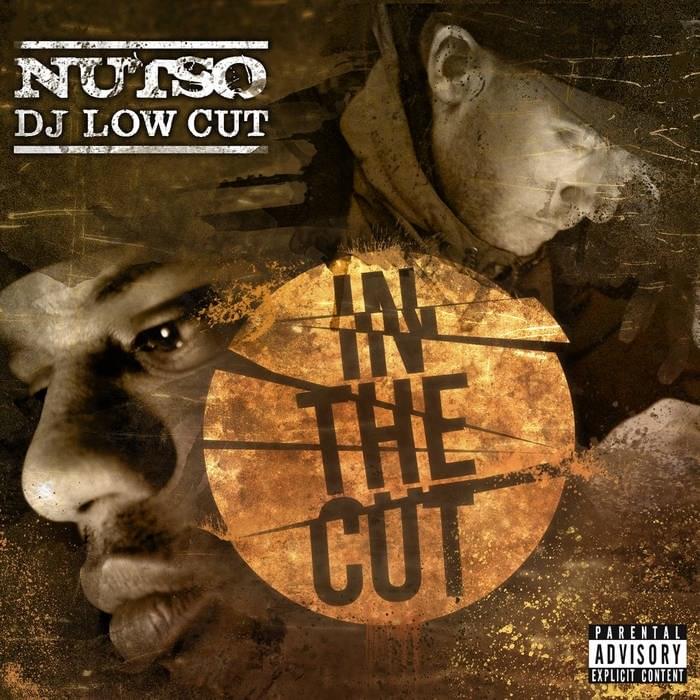 Cover image for In the Cut