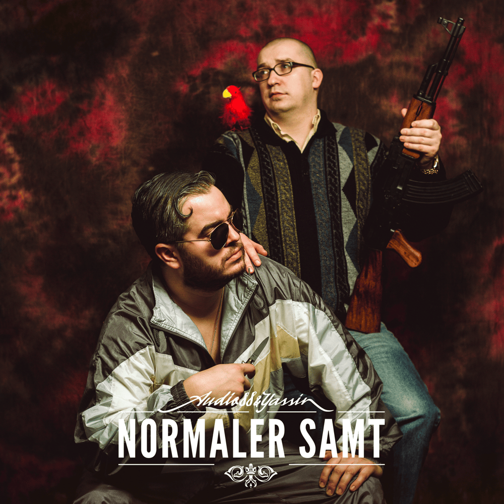 Normale Freunde by Audio88