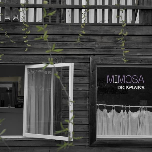 Album cover art for "미모사 (Sensitive Flower)" by DPNS (딕펑스)