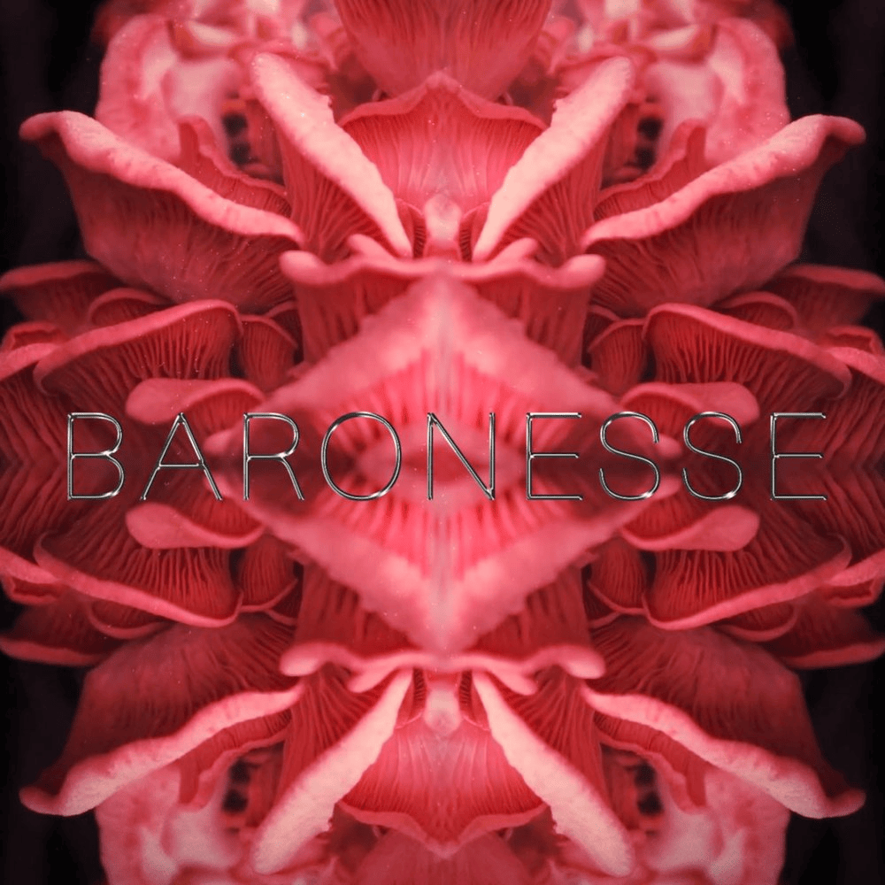 Album cover art for "Baronesse" by Hjaltalín