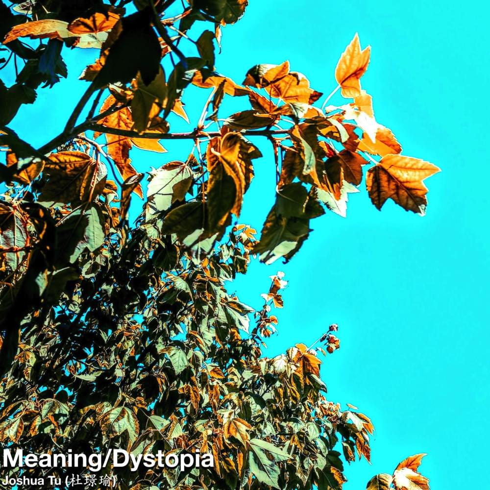 Cover image for Meaning/Dystopia Double Single