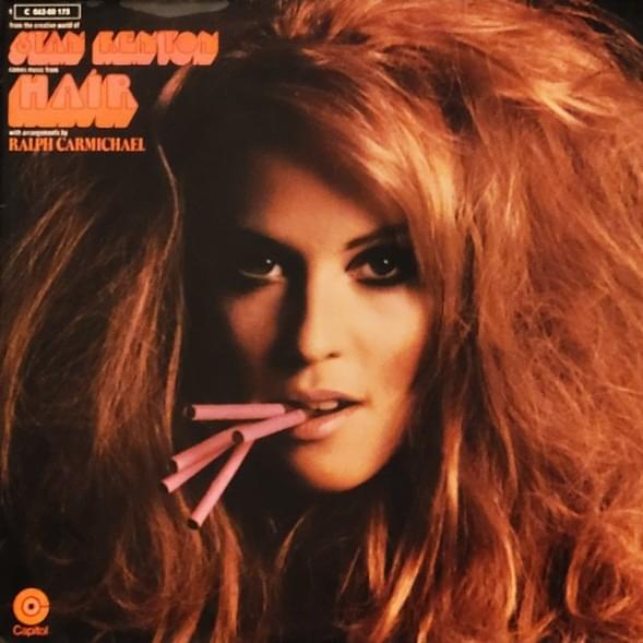 Cover image for Hair